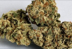 apple runtz strain